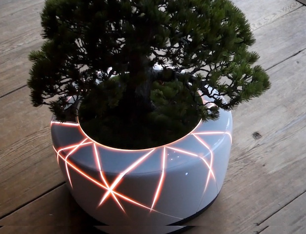 BonsAI is smart bonsai plant integrated with artificial intelligence  technology