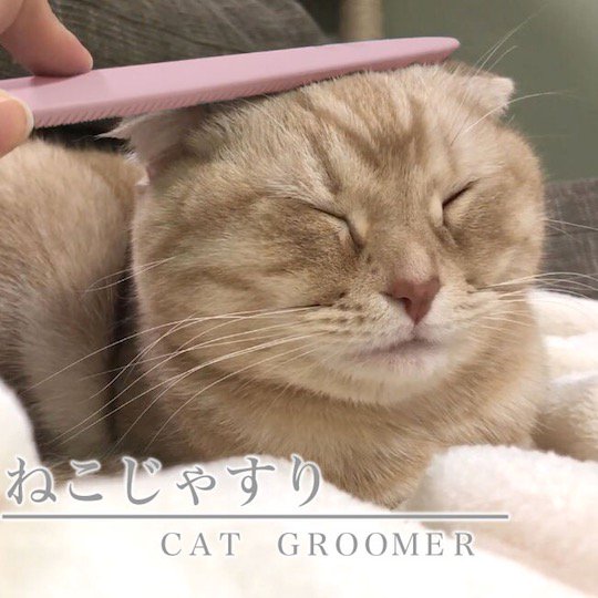 groomer